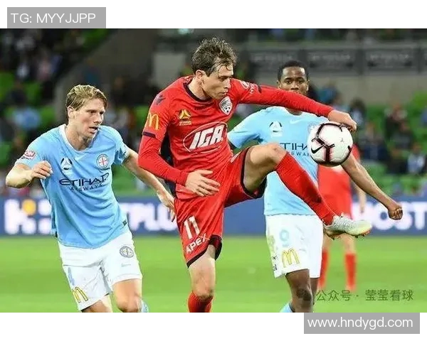 布兰与萨尔普的巅峰对决:谁将成为胜利的王者 布兰与萨尔普的巅峰对决:谁将成为胜利的王者