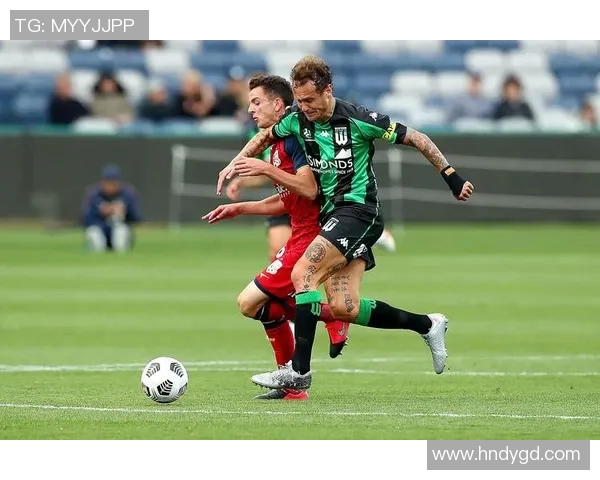 纽喷机与悉尼FC的精彩对决谁将赢得这场激烈的较量